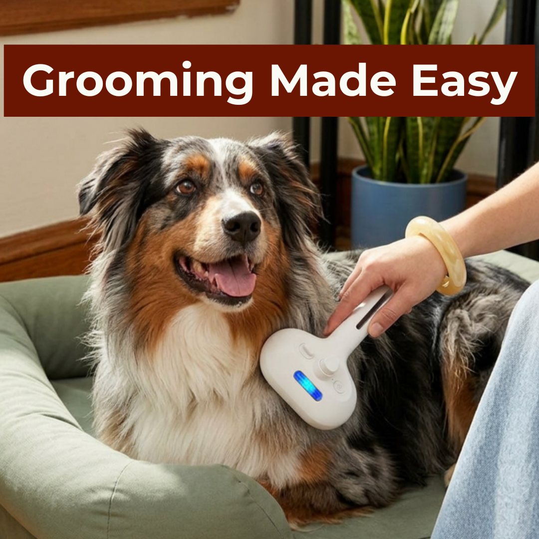 LeoFind Furriva™ Gentle Vapor Ritual