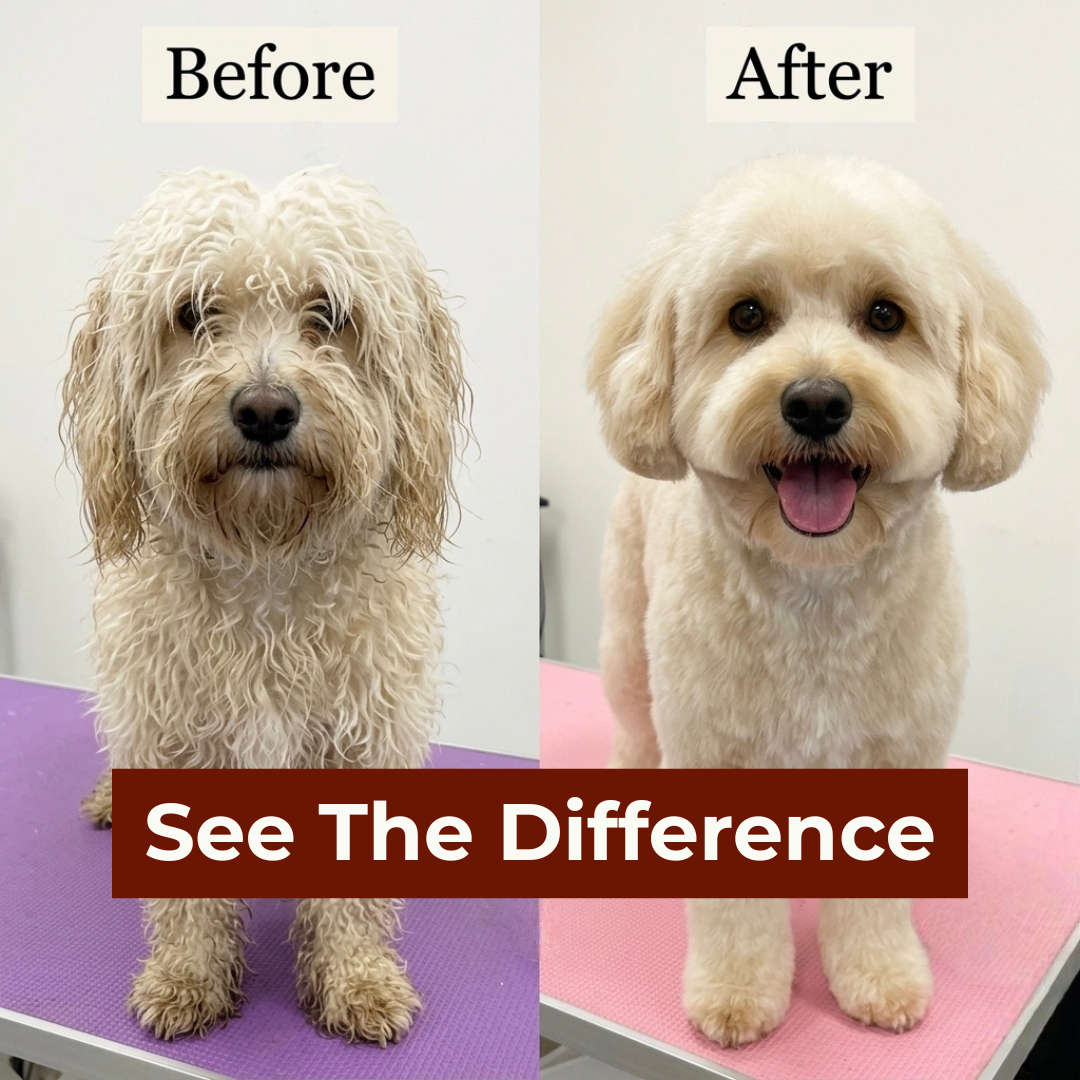 LeoFind Furriva™ Gentle Vapor Ritual