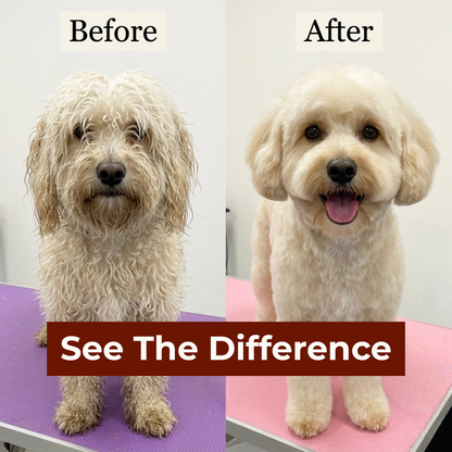 LeoFind Furriva™ Gentle Vapor Ritual