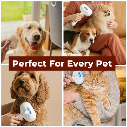 LeoFind Furriva™ Gentle Vapor Ritual